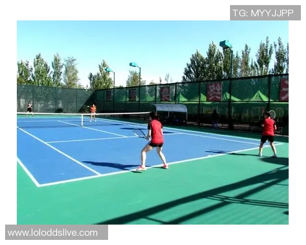 西安网球队边路渗透战术分析与效果评估探讨